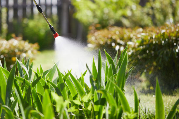 24/7 Emergency Fumigation Services experts in Fenton, MI