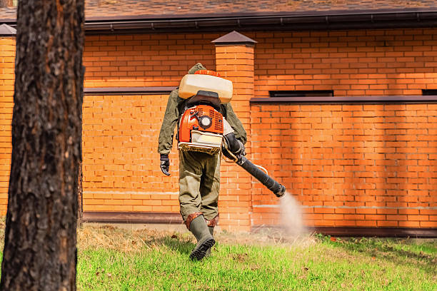 Top rated local Fumigation Services specialists in Fenton, MI